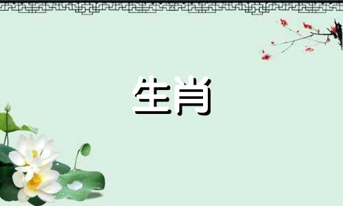 属蛇人和属羊人合不合财 蛇与羊适合做夫妻吗好吗