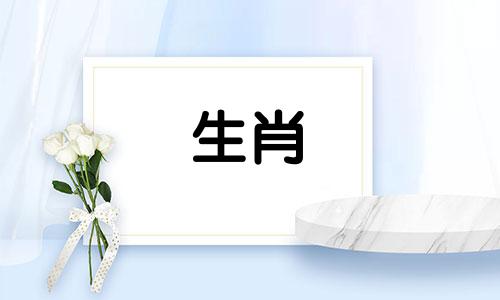属鼠男和那个生肖的女人相配