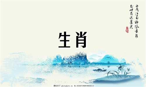 属蛇女倒追哪个生肖男最容易成功呢