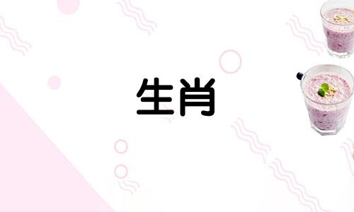 属狗男和哪个生肖女最合拍