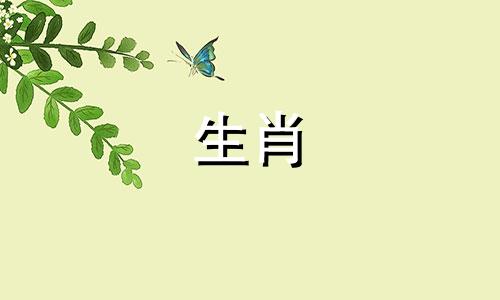 属马男会爱上什么样的女人