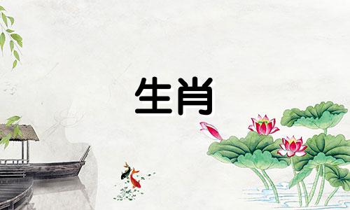 丙寅配什么对象最好呢 丙寅好不好