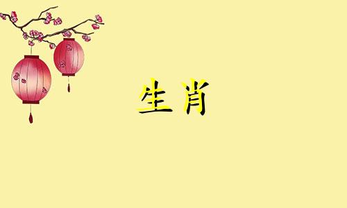 属兔女倒追哪个生肖男最容易成功呢