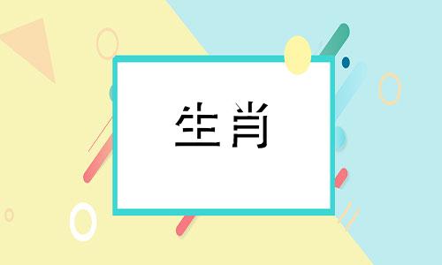 属狗男最放心不下哪个生肖女