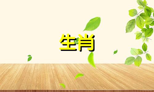 怎么和属鼠的人相处好 如何与属鼠的人打交道