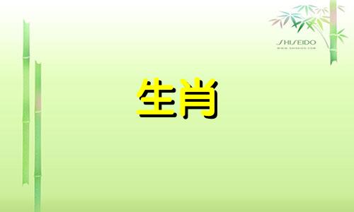 属兔的结婚当天防属相 生肖兔结婚
