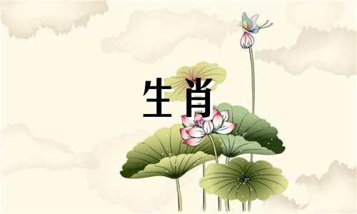 属虎女倒追哪个生肖男最容易成功呢
