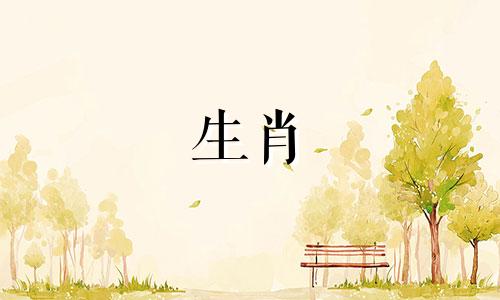 属鼠男放不下一个人的表现