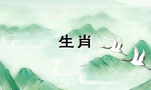 蛇妈妈和蛇宝宝属相合不合婚姻
