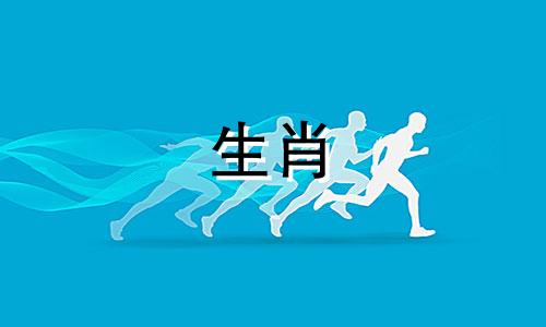 90年属马最倒霉的几年了 90年属马命运坎坷