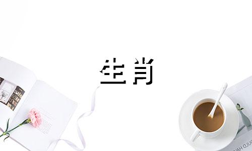 怎么和属虎的人相处好 怎么和属虎的人谈恋爱