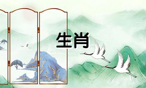 78年属马晚年命运怎么样 78年属马晚年运势及运程