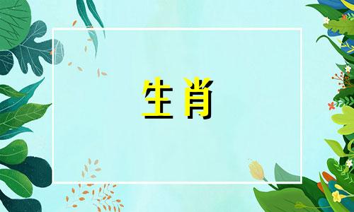 属鼠人最忌做什么行业,属鼠人不适合的职业是什么