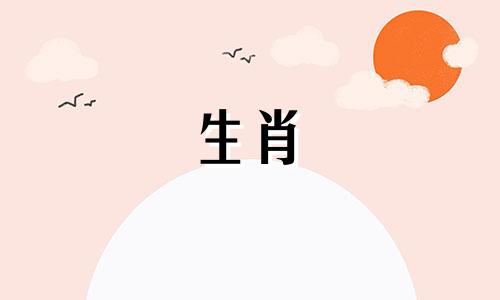 51年属兔人2025年运势运程每月运程详解