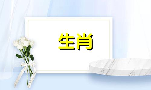 属虎人最忌做什么行业,属虎人不适合的职业是什么