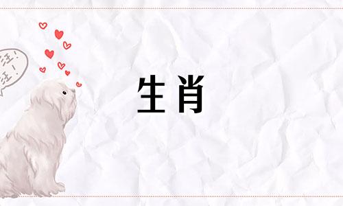 属猴老了靠谁养老两只猴无忧愁