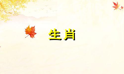 90年属马的最佳婚配表是什么?