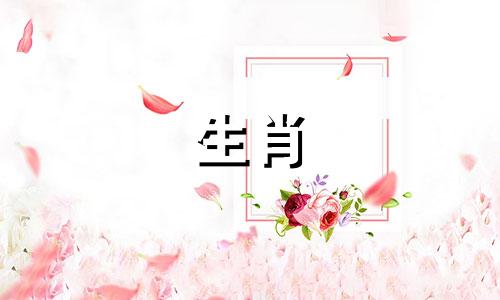 属狗的人适合去哪个城市发展