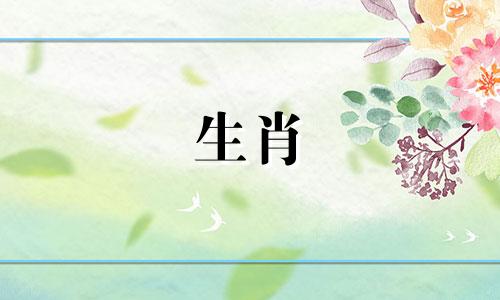 90属马人36岁才是大运吗 2025年90年属马人的全年运势