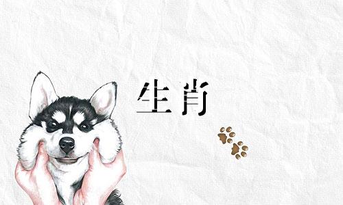 老鼠最不合的四个属相 龙最不合的四个属