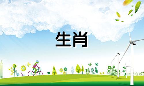 属鼠的和什么冤家对头好 属鼠跟什么和得来