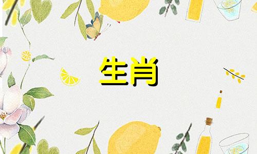 属牛人最忌做什么行业,属牛人不适合的职业是什么