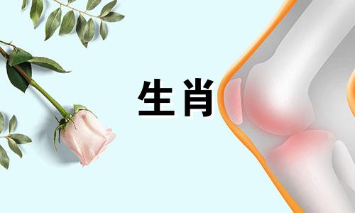 属马人最吃香的三个职业是什么