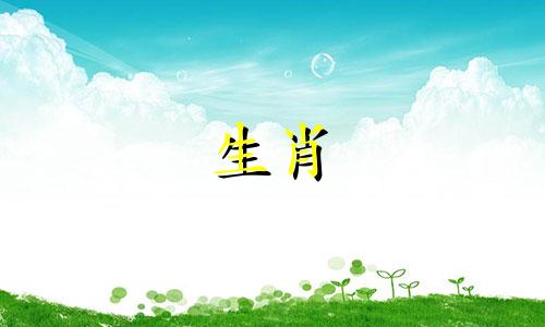 87年属兔多少岁走大运啊 87年属兔的过了多少岁会好运