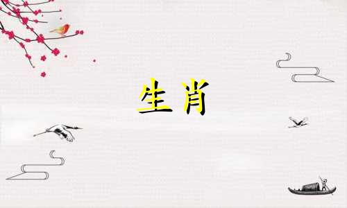 88年大林木命属龙五行缺什么呢