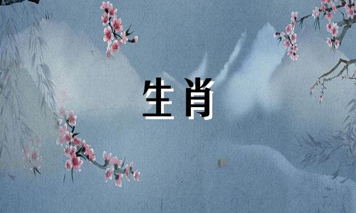 蛇年40岁人应该注意什么事项