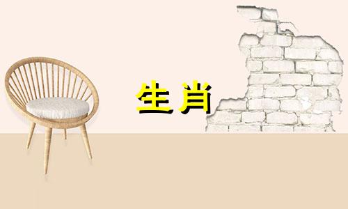 属虎本命年注意什么,属虎本命年的大忌是什么