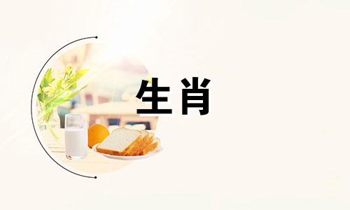 属狗人最吃香的三个职业女生