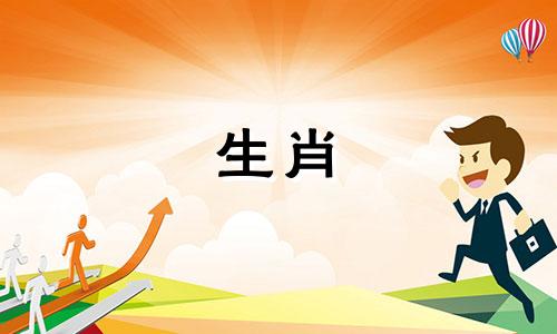 属兔人最忌做什么行业,属兔人不适合的职业是什么
