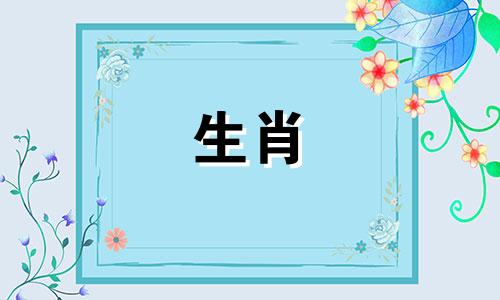 属兔本命年注意什么,属兔本命年的大忌是什么