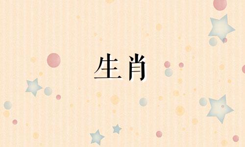 属兔女唯一的真爱生肖男是什么