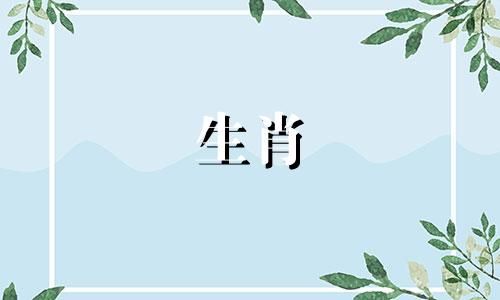 属龙男最建议娶的三个属相男龙女兔