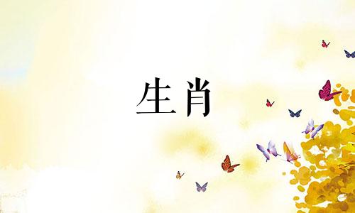 虎是谁的心上人属马的今年多大岁数