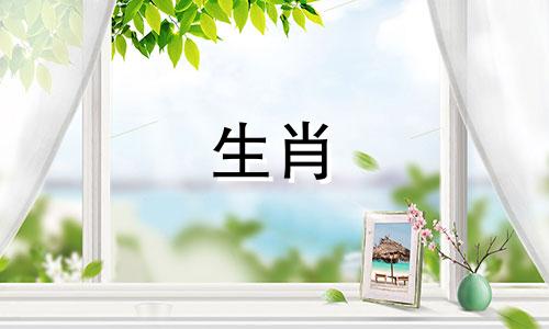 属龙上等命的出生吉日富贵