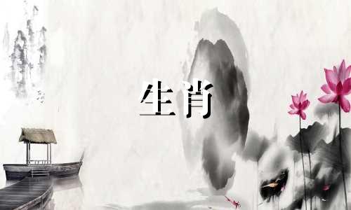 属兔配什么生肖最好婚姻一生最幸福
