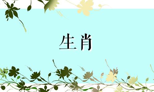 心灵相通的生肖配对狗和虎