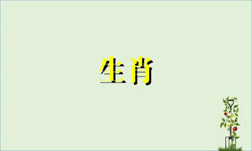 属马的人哪天出生最好命 属马人哪天出生最好农历