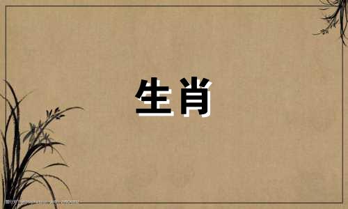 生来有福的三大生肖女 晚年守寡的5个属相