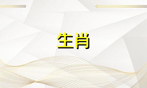 82年属狗五行属什么命做什么生意