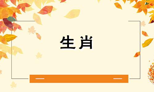 属兔人跟谁一起最有钱 属兔人2025烂桃花是谁