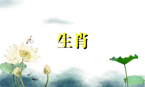 87年属兔女最佳婚配属相是什么