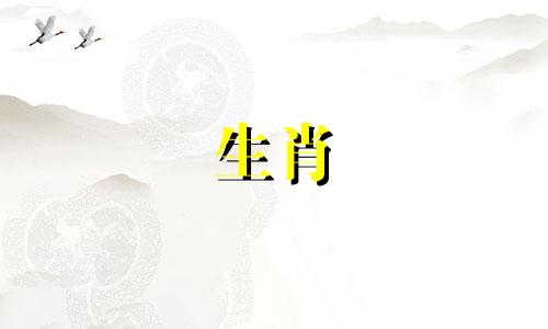 2006年的属狗的哪个方向好
