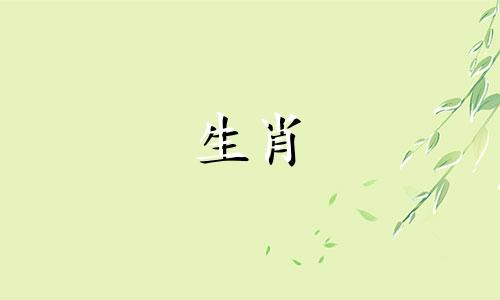 2000年属龙终身佩戴什么饰品