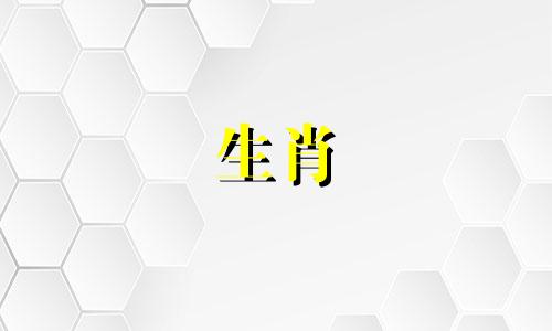 99年的兔和00年的龙能成婚吗?