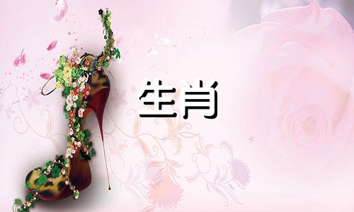 属兔和什么属相合作最旺财运