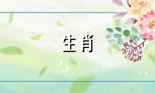 7月狗是苦命还是富贵45岁